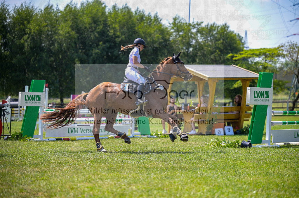 Reitturnier Voxtrup | Entdecke hochwertige Reitturnierfotos von Foto Oger. Professionell, emotional und authentisch – jetzt Lieblingsmomente im Shop bestellen.Deutschlandweite Turnierfotografie. - Realisiert mit Pictrs.com