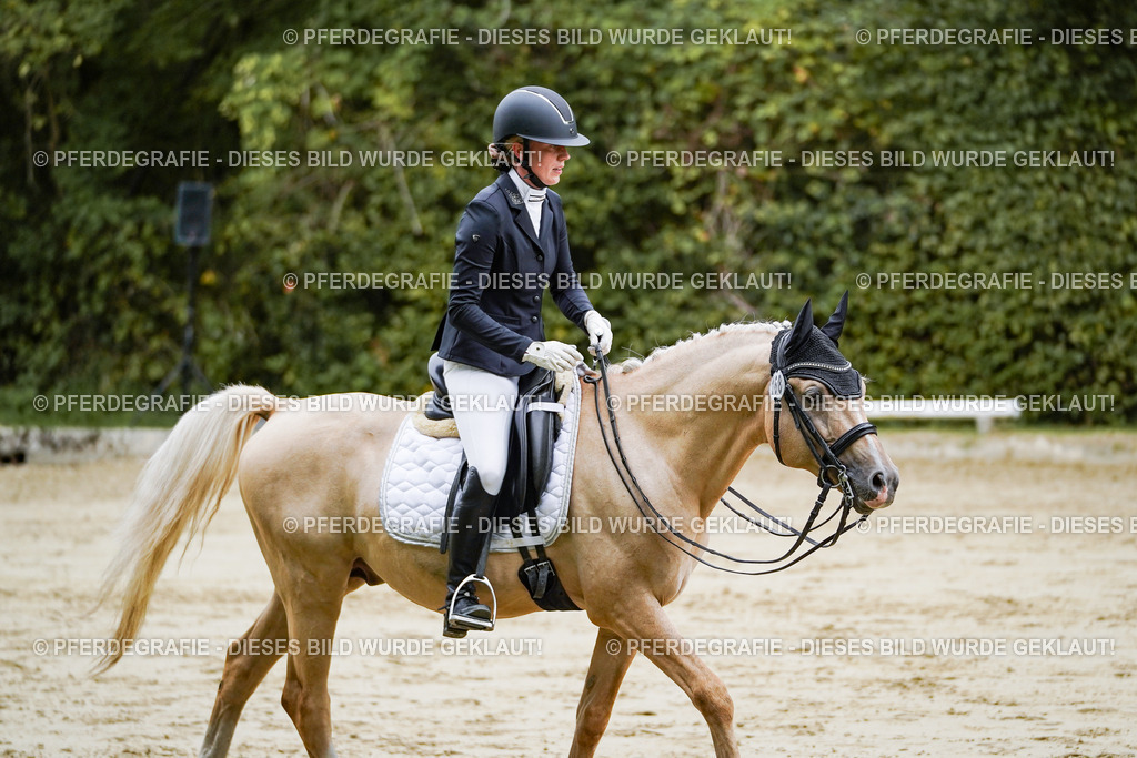 DSC09068 | Pferdegrafie