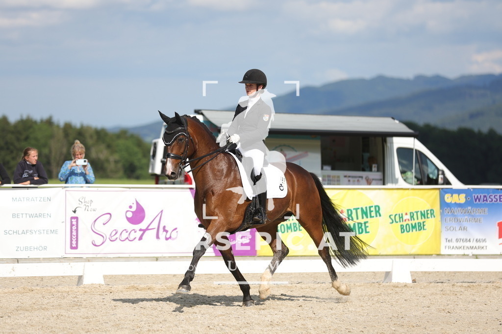 0P6A6539 | Willkommen bei Brunnmayr - Design & Fotografie – Ihrem Spezialisten für Reitturniere und Pferdeveranstaltungen in Oberösterreich, Salzburg und Bayern! Seit über 17 Jahren sind wir leidenschaftlich dabei.