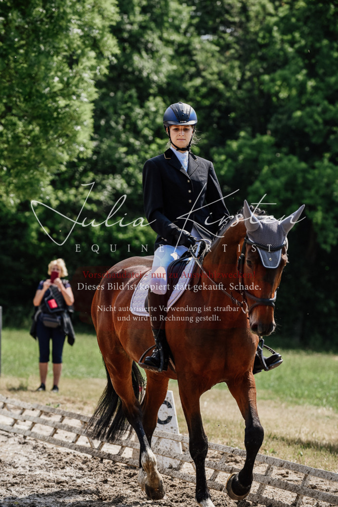DSC_1116 | Pferde- und Turnierfotografie in Westsachsen. Pferdeportraits, Auftragszeichnungen und intuitive Kunst.