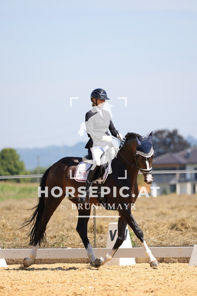 0P6A9632 | Willkommen bei Brunnmayr - Design & Fotografie – Ihrem Spezialisten für Reitturniere und Pferdeveranstaltungen in Oberösterreich, Salzburg und Bayern! Seit über 17 Jahren sind wir leidenschaftlich dabei.