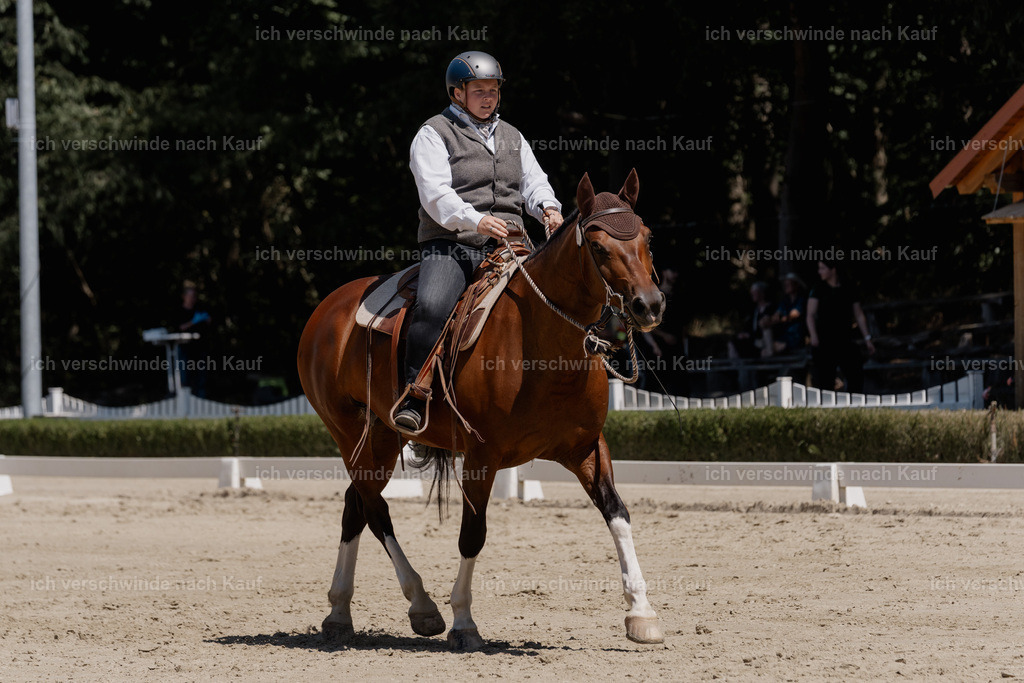 WE_DR_107_SinaFilmArt_IN03528 | working equitationturnier fotograf videograf stoibphotography marixx film working equitation deutschland reitsport turnierfotografie eventfotografie equestrian events