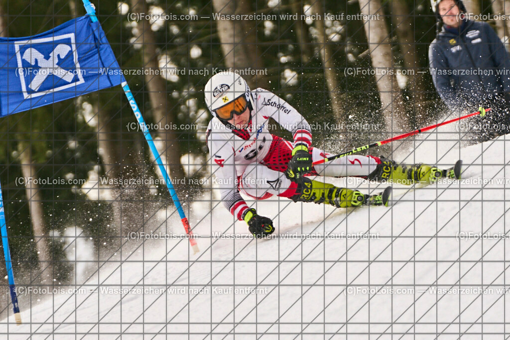 ALP7697_SkiBezirksMeisterschaft_Hollenstein_Bayer Bastian | (C)FotoLois.com, Alois Spandl, SkiBezirksMeisterschaft NÖ-West und Bambini/Kindercup-RTL, SC Hollenstein am Königsberg, Sa 11. Feb. 2023.