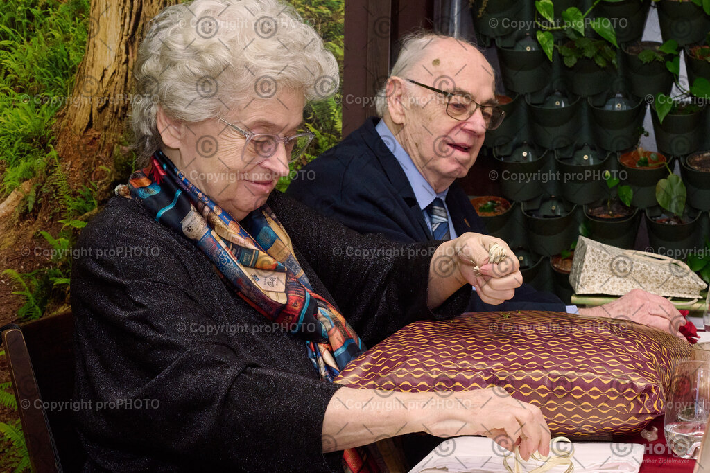 028_2026_60-Hochzeitstag-Wenzel_NZ9_6723 | proPHOTO - Realisiert mit Pictrs.com