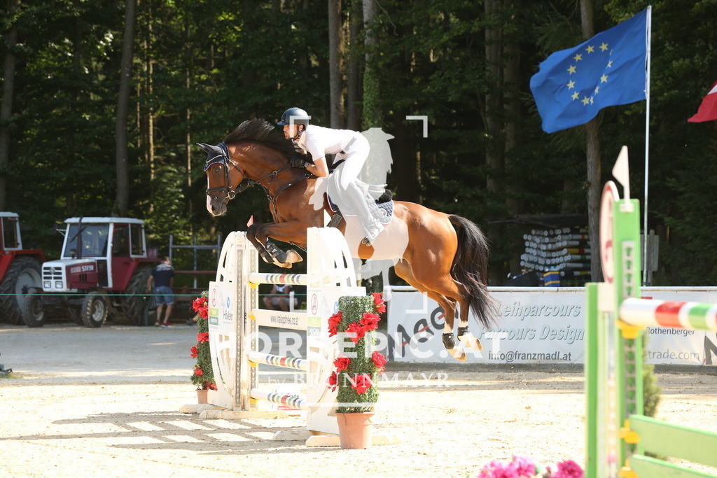 DL2Q6853 | Willkommen bei Brunnmayr - Design & Fotografie – Ihrem Spezialisten für Reitturniere und Pferdeveranstaltungen in Oberösterreich, Salzburg und Bayern! Seit über 17 Jahren sind wir leidenschaftlich dabei.