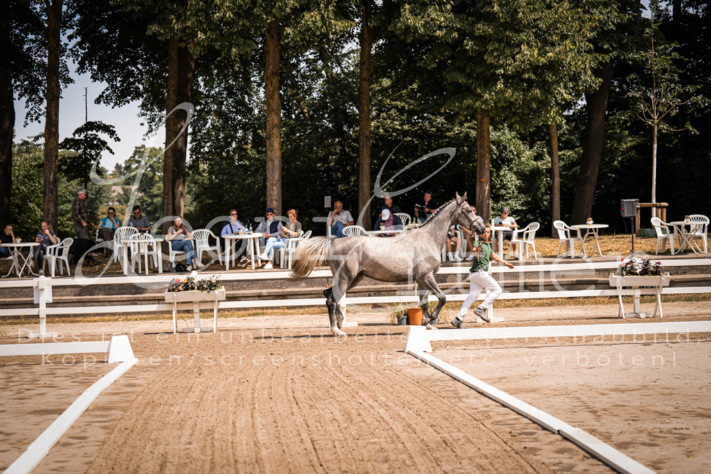 1.Fr00013 | Leoni Ertmer Photography - Realisiert mit Pictrs.com