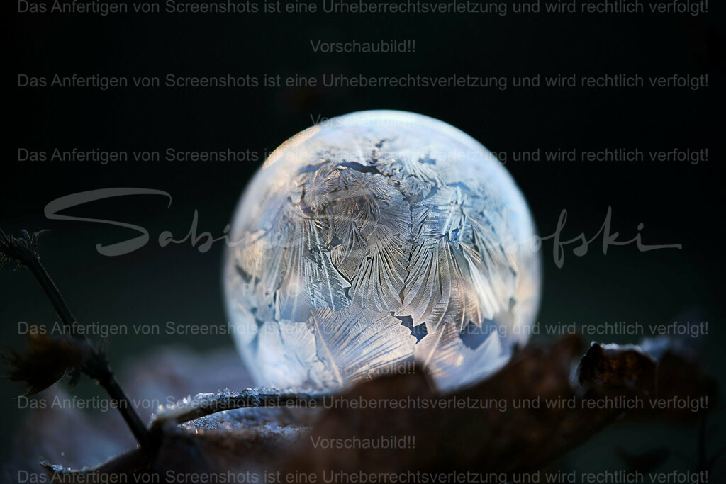 Wandbild Frozen Bubble / gefrorene Seifenblase | People- und Tierfotografie, Imageaufnahmen, Veranstaltungsfotografie und Wandbilder aus der Natur ★ Made in Germany ✔️ Druck + Downloads ✔️ Naturfotografie in Top Qualität ★ schneller Versand, weltweite Lieferung! - Realisiert mit Pictrs.com