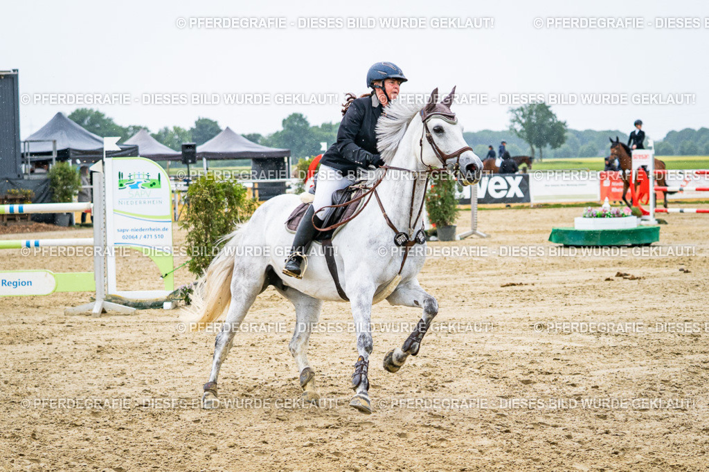 DSC08674 | Pferdegrafie