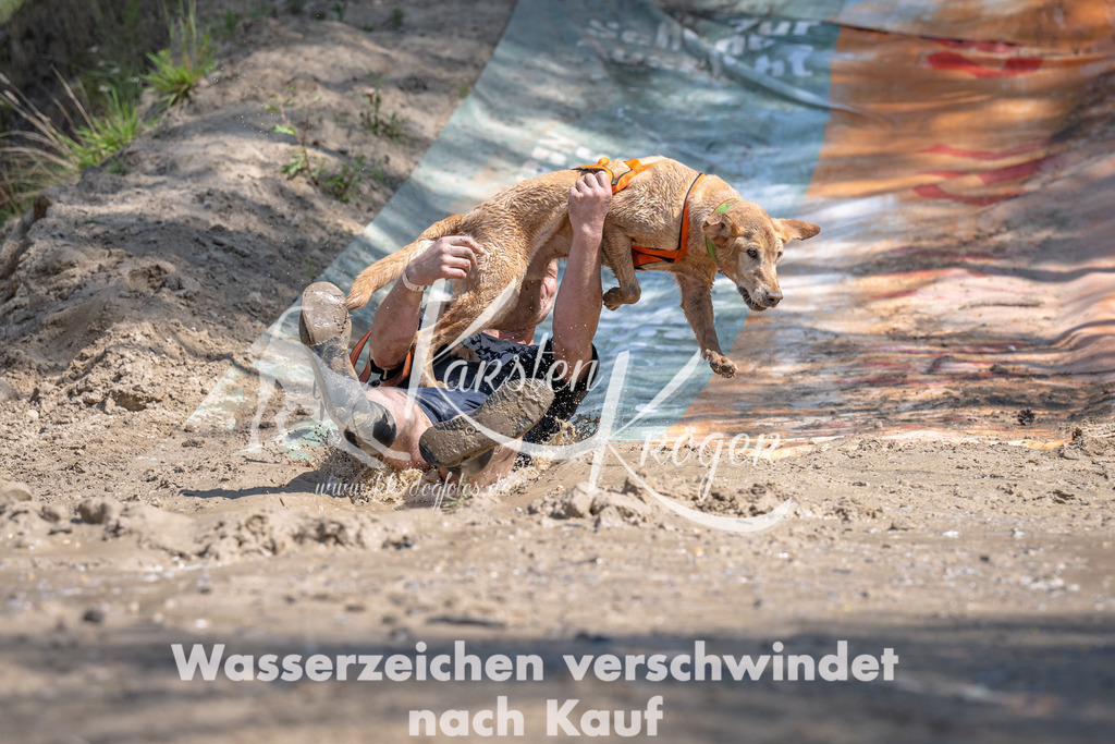 1200_ZZ91026 | kk-dogfotos