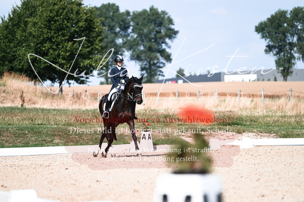 DSC_3296 | Pferde- und Turnierfotografie in Westsachsen. Pferdeportraits, Auftragszeichnungen und intuitive Kunst.