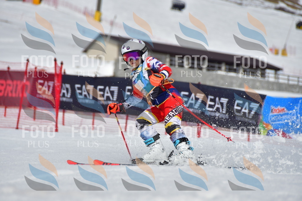 _DSC7506 | holidayphoto