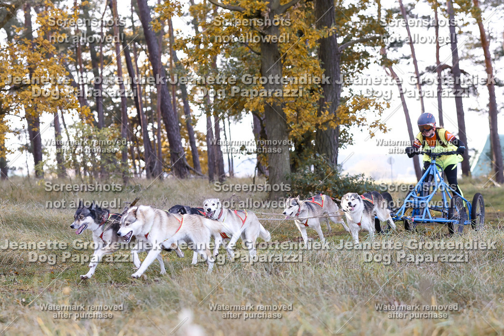 Dog Paparazzi - Elsholz 25 -40 | Dog Paparazzi Jeanette Grottendiek Fotografie & Videografie - Realisiert mit Pictrs.com