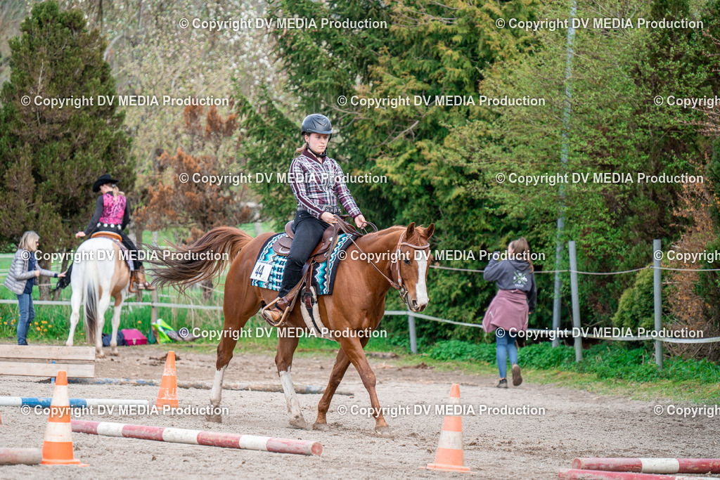 BAL02574 | dv-media-shop - Realisiert mit Pictrs.com