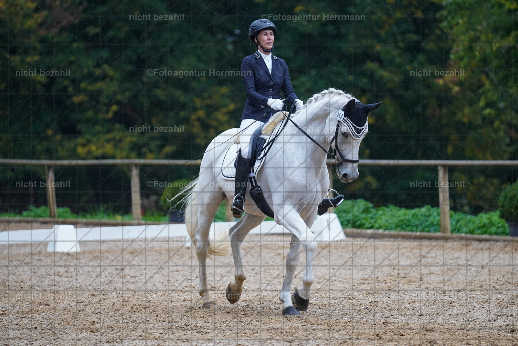 20221008-FAH02236 | Diessen am Ammersee, 2022, Dressur- und Springturnier, Reitsportbilder, Turnierfotografen Bayern, Pferdefotografen, Fotoagentur Herrmann, Turnierbilder
