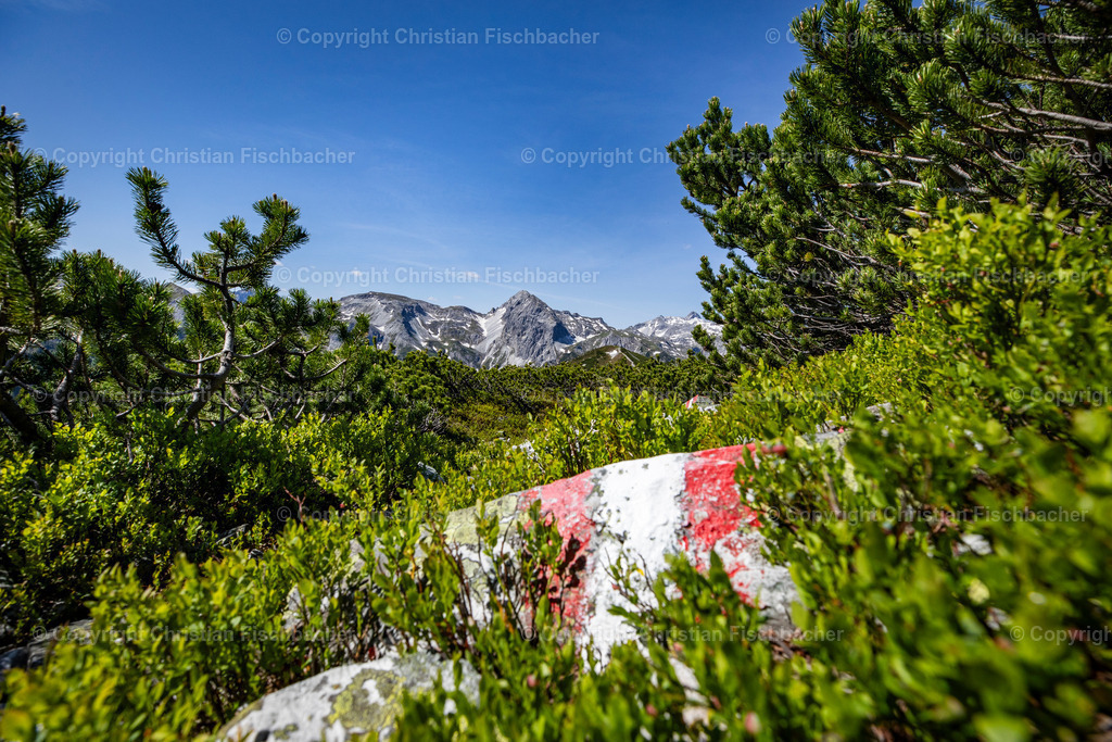 Fotos_Copyright_Chri_Fischbacher_Druck-399 | Bildershop Chri Fischbacher - Realisiert mit Pictrs.com