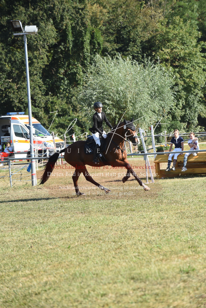 DSC_5299 | Pferde- und Turnierfotografie in Westsachsen. Pferdeportraits, Auftragszeichnungen und intuitive Kunst.