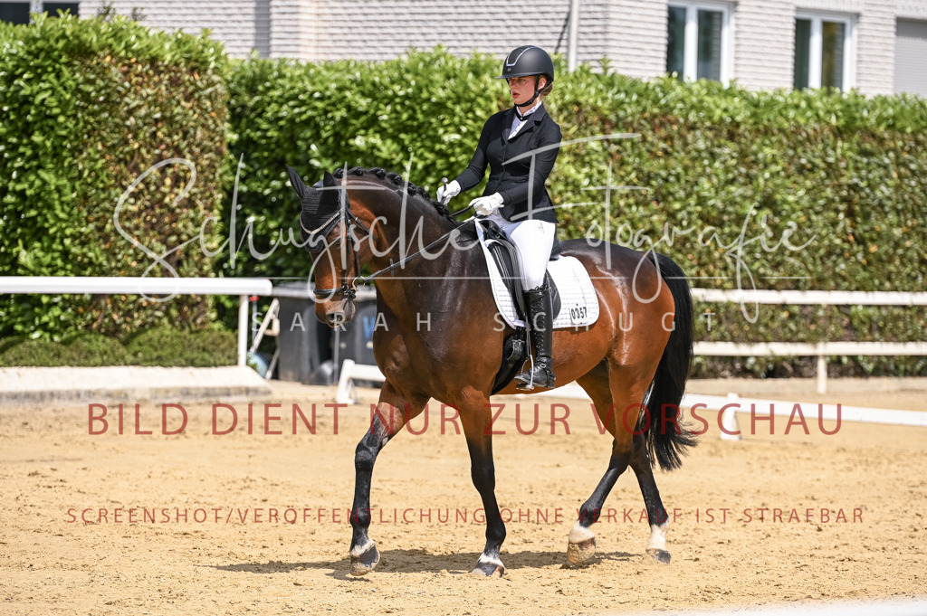 Schugtsche-Aluta25-55.Dressurreiterprf.L1Tr-38 | Schugtsche Fotografie - Realisiert mit Pictrs.com
