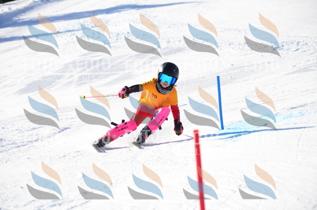 C6059 | holidayphoto