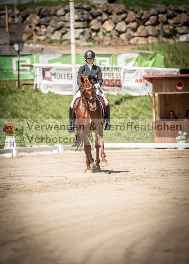 DSC_1452 | equestrian-live-com