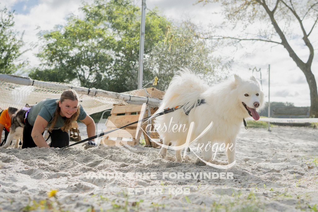 1328_ZZ97138 | kk-dogfotos