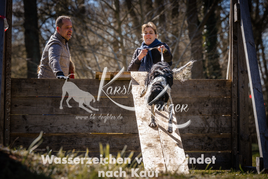 0959_ZZ96940 | kk-dogfotos