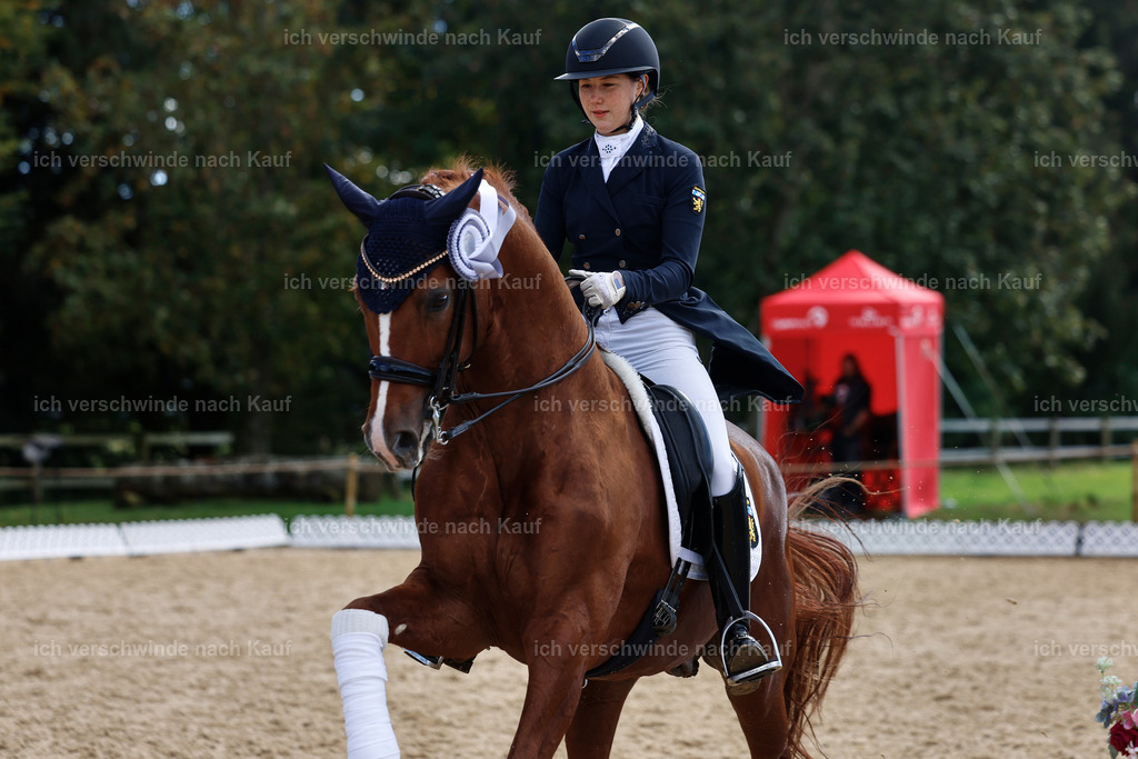 09_2-223-Dressur S__-StoibPH7098 | working equitationturnier fotograf videograf stoibphotography marixx film working equitation deutschland reitsport turnierfotografie eventfotografie equestrian events
