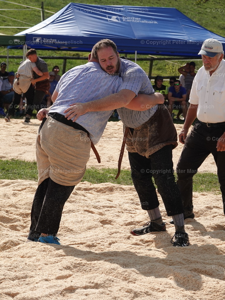 DSC05183 | Schwingen - Realisiert mit Pictrs.com