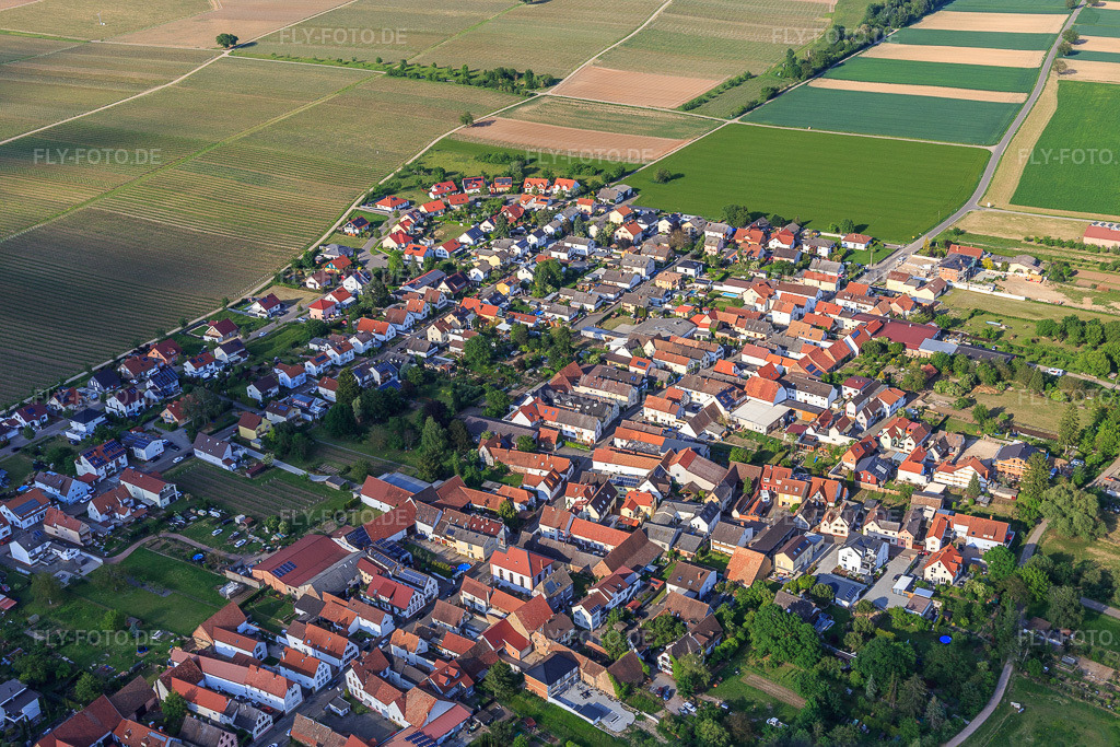 Luftbild: Ortsansicht von Südwesten im Ortsteil Duttweiler in Neustadt im Bundesland Rheinland-Pfalz in Deutschland. Foto: IMG_126985.jpg vom 02.06.2021 durch Werner Riehm/FLY-FOTO.de