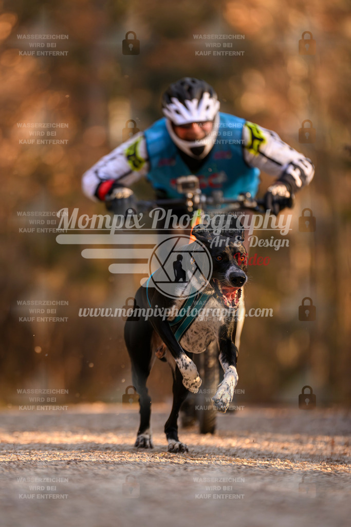 MompixPhotography_DM_AKDM_SO_2025_Scooter-175 | PayLife