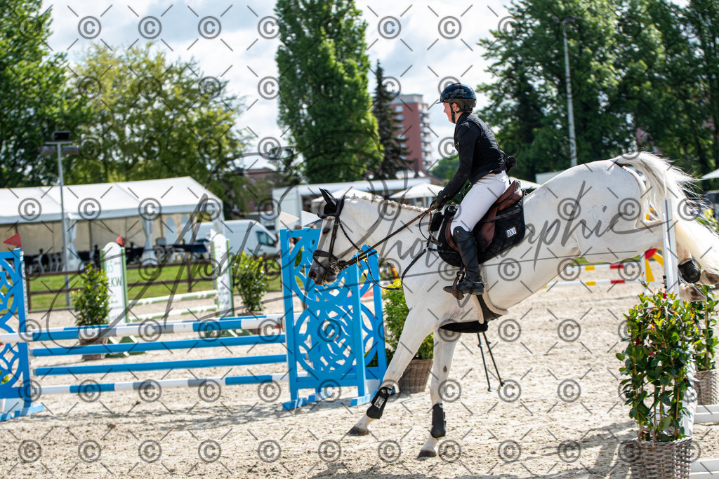 KPT_4824 | andre_photographic