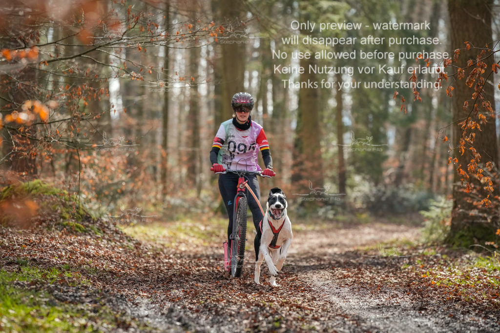 So_Scooter1-59 | stephaniefillaphotographie - Realisiert mit Pictrs.com