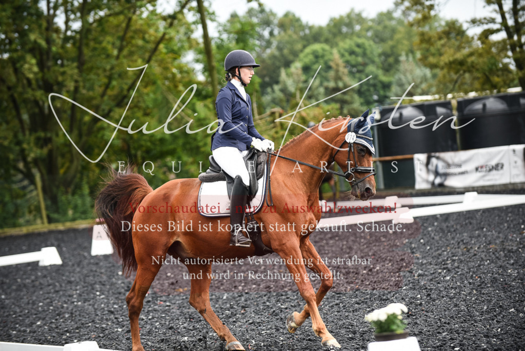 DSC_2919 | Pferde- und Turnierfotografie in Westsachsen. Pferdeportraits, Auftragszeichnungen und intuitive Kunst.