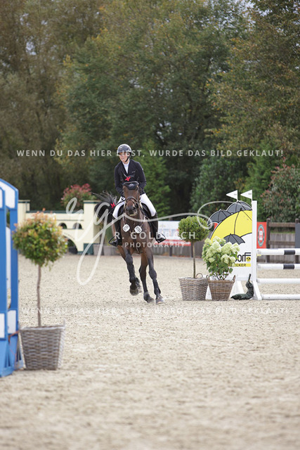 1J2A0600Nena Hopp_ Nobel Classic_ Kn794_ Havekost | Foto- und Videografie für alles rund ums Pferd. Hochwertige Bilder und Videos vom Spring- und Dressurreiten, Voltigieren & mehr. Jetzt aktuelle Veranstaltungen und Preise im Shop ansehen. - Realisiert mit Pictrs.com