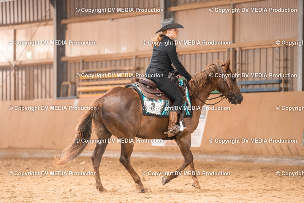 Losheim Tag 1-599 | dv-media-shop - Realisiert mit Pictrs.com