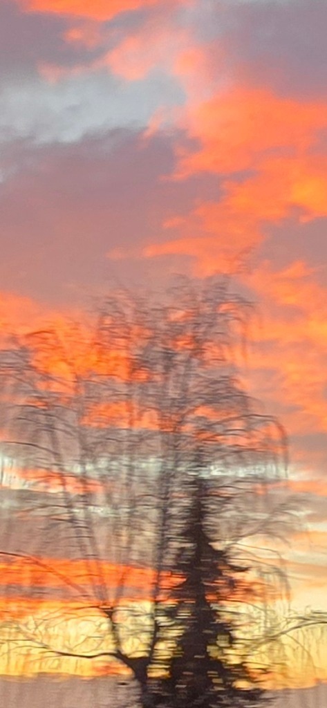 Screenshot_20250120_183940_Photos | Heilkarten - Realisiert mit Pictrs.com