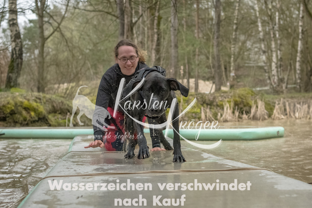 1042_ZZ93252-Bearbeitet | kk-dogfotos