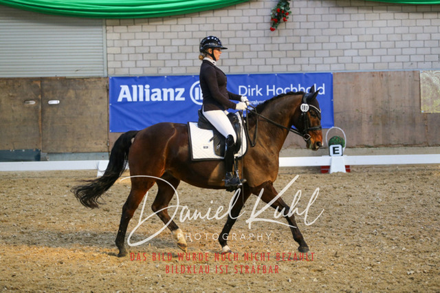 IMG_2579 | Turnierfotos kaufen im Webshop von Daniel Kuhl Photography – entdecke professionelle Reitsportfotos aus Turnieren & Events. Hochwertige Turnierbilder online bestellen & sichern. Jetzt Fotos von Reitsportturnieren kaufen!