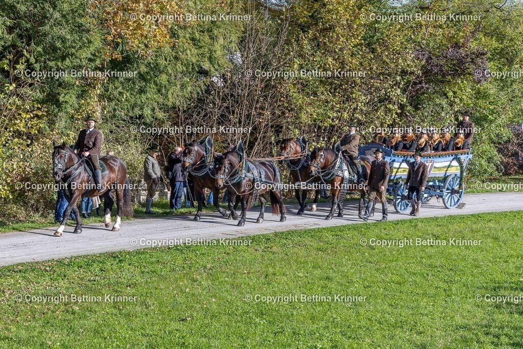 LBT24-903 | foto-bettina-krinner - Realisiert mit Pictrs.com