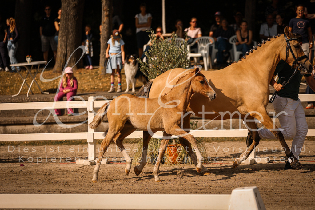 10.DoRP00110 | Leoni Ertmer Photography - Realisiert mit Pictrs.com