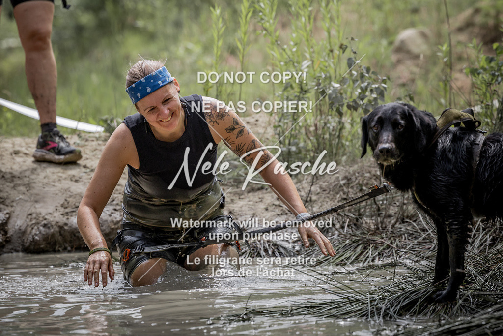 nelerasche_so1330-1400_259 | nelerasche
