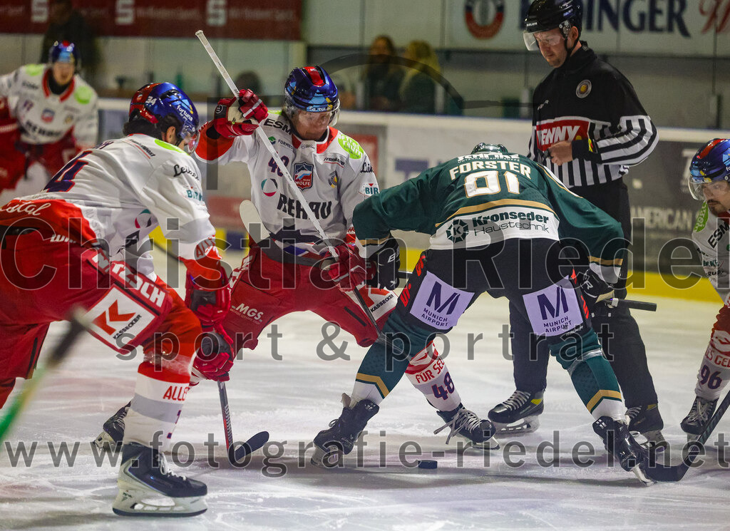 2025-11-16_037_TSV_Erding_gegen_Selber_Woelfe | Erding, Deutschland, 16.11.2025:Eishockey, Oberliga Süd 2025 / 2026, 17. Spieltag, TSV Erding gegen Selber Wölfe, Endergebnis: 3:1Niko Lahtinen (Selber Wölfe, #48), Maximilian Forster (Erding Gladiators, #81)Foto: Christian Riedel / fotografie-riedel.net