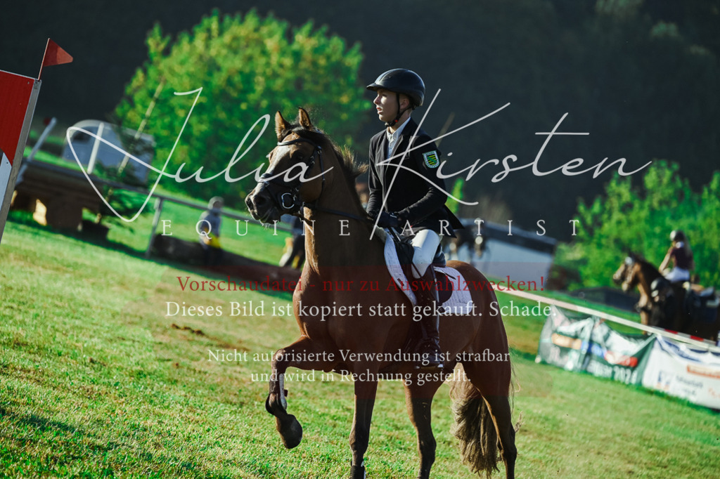 DSC_4119 | Pferde- und Turnierfotografie in Westsachsen. Pferdeportraits, Auftragszeichnungen und intuitive Kunst.