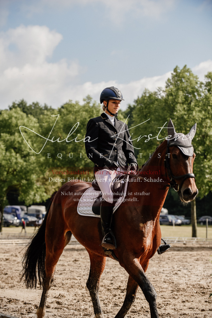 DSC_9075 | Pferde- und Turnierfotografie in Westsachsen. Pferdeportraits, Auftragszeichnungen und intuitive Kunst.