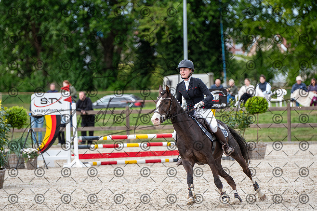 KPT_6980 | andre_photographic