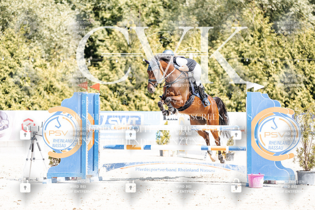 CK900748 | Turnierfotografie Pferdefotografie Trier Rheinland-Pfalz Pferdesport Reitsport Tierfotografie Sportfotografie Pferdevideo Pferdevideografie Equestrianvideography equestrianphotography  - Realisiert mit Pictrs.com