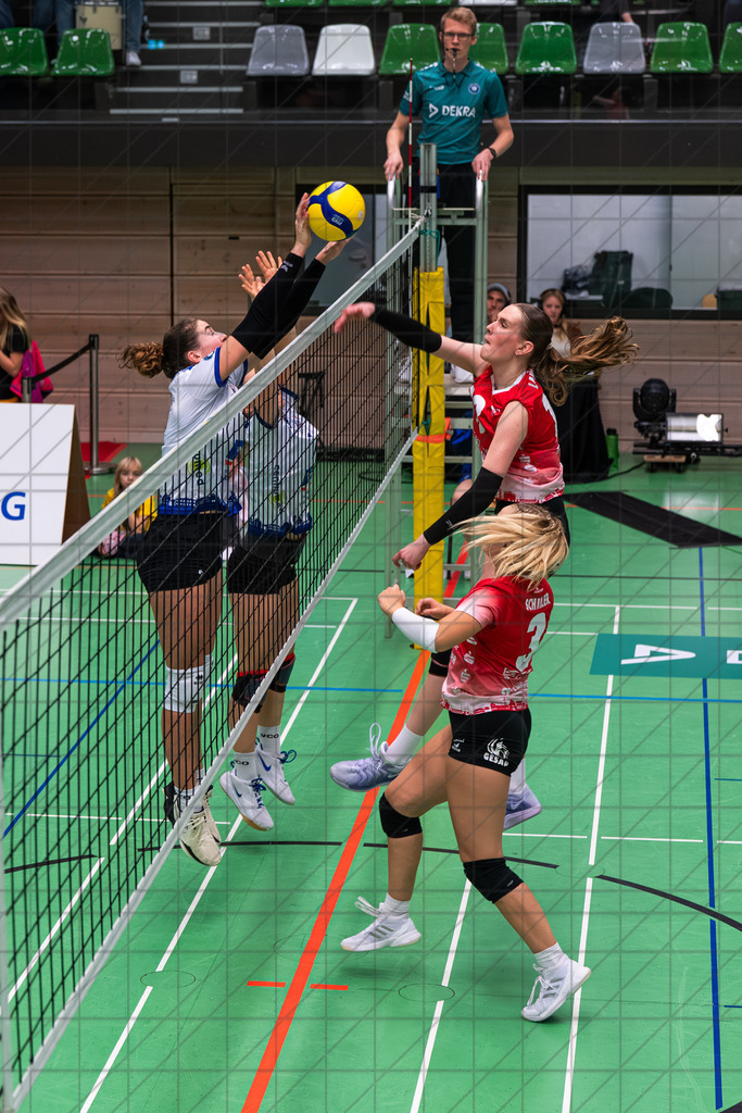 2. VBLF Nord 25/26 | Spiel 4029 | VC Osnabrück vs. SV Energie Cottbus | //  15.11.25: 2. VBLF Nord 25/26 | Spiel 4029 | VC Osnabrück vs. SV Energie Cottbus / Osnabrück / Deutschland  //   CREDIT:www.bullenfotos.de, Martin König, Hörner Weg 40, D-49078 Osnabrück, +4917663732967 // Nutzung und Weitergabe nur zu den vereinbarten Zwecken. Presseanfragen an Ersteller. Alle Rechte beim Ersteller. Honorierung nach MFM. - Realisiert mit Pictrs.com