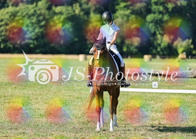 20260628_14a_VA_Dressur-91 | JS-Photostyle - Sport-/Portrait- & Eventfotografie