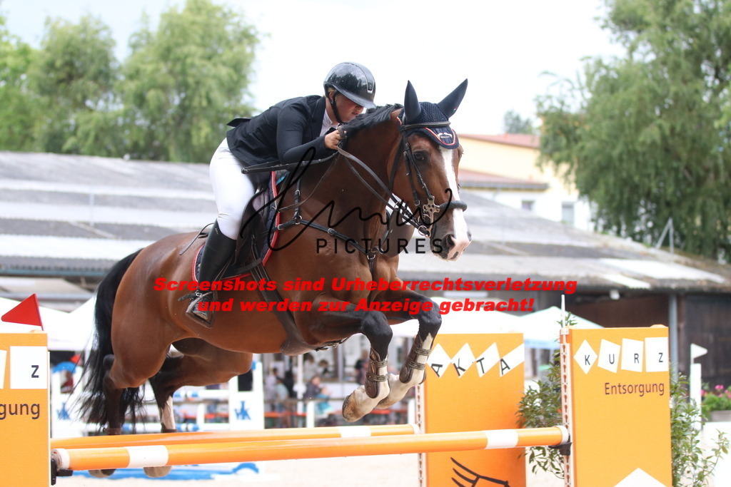 IMG_8331 | lmwpictures - Realisiert mit Pictrs.com