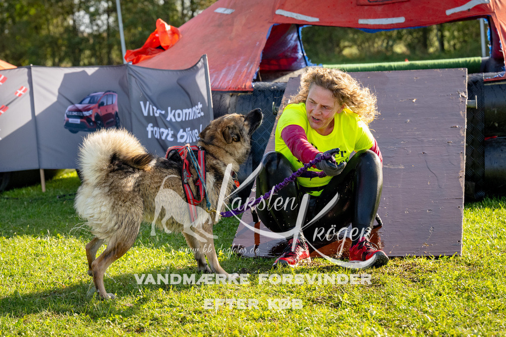 1111-91804 | kk-dogfotos