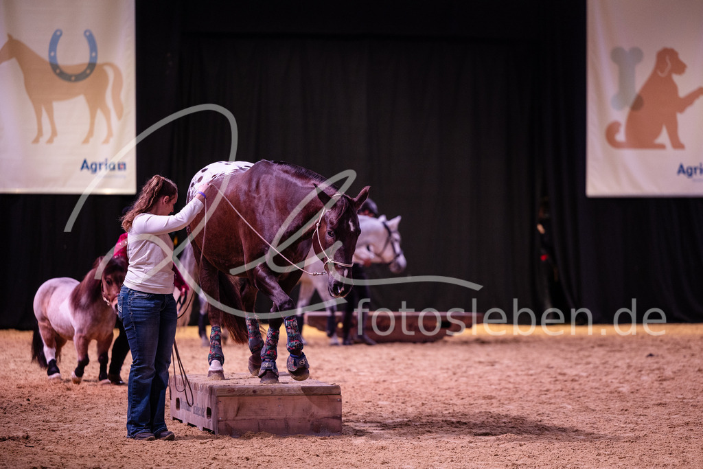 846A6936 | fotosleben - Realisiert mit Pictrs.com